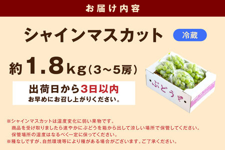 【先行予約】根域制限シャインマスカット 約1.8kg 3～5房《9月中旬頃から発送》 果物 シャインマスカット 先行予約 【183_1882】