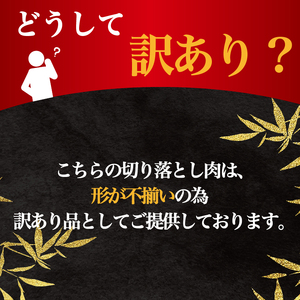 訳あり 近江牛 切り落とし 500g ( 訳あり近江牛 黒毛和牛近江牛 訳あり 牛肉近江牛 250g×2パック 訳あり 肉近江牛 ギフト近江牛 自宅用 高級近江牛 黒毛和牛 近江牛 ブランド和牛近江牛 近江牛切落し 訳あり 国産近江牛 ふるさと納税 近江牛 ブランド牛近江牛 三大和牛近江牛 和牛 贈り物近江牛 内祝い 神戸牛 松阪牛 に並ぶ 日本三大和牛 訳あり 滋賀県 近江牛 竜王町 近江牛 澤井牧場 近江牛 訳あり 送料無料 】