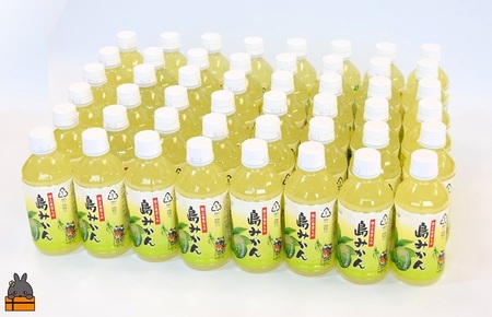 ～爽やかな柑橘ドリンク！～徳之島の島みかん350ml×48本 (ドリンク 果物 フルーツ シークニン 徳之島 奄美 鹿児島 美農里館 さわやか 酸味 美味しい )