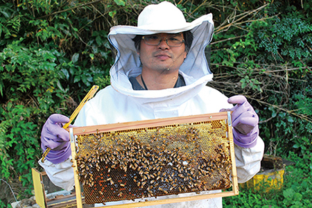 【自然のまま】富津産ハチミツ（5～6月の花）500g×6本 計3kg