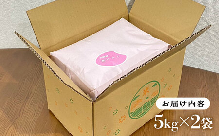 【お中元対象】  いとし米 厳選夢つくし 10kg糸島市 / 三島商店 [AIM044] 米 白米