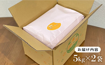  いとし米 厳選ひのひかり10kg (糸島産) 糸島市 / 三島商店 [AIM045] 米 白米