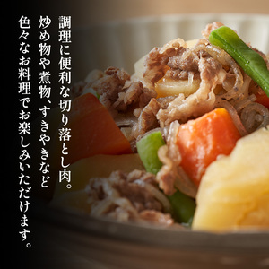 【ふるさと納税】 三田牛 切り落とし 500g すき焼き しゃぶしゃぶ すきやき スキヤキ 勢戸 牛肉 ギフト 肉 お肉 お祝い 但馬牛 神戸牛 三田牛 数量限定 訳あり ふるさと納税 ふるさと 人気 おすすめ 送料無料 兵庫県 三田市 [3d28bae610027]