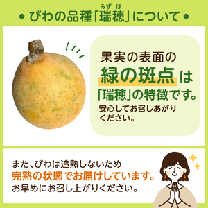 【先行受付 2026年5月中旬～6月中旬発送予定】【数量限定】生産者直送　ジューシー袋詰めびわ（訳あり混合サイズ12～18個） mi0057-0001
