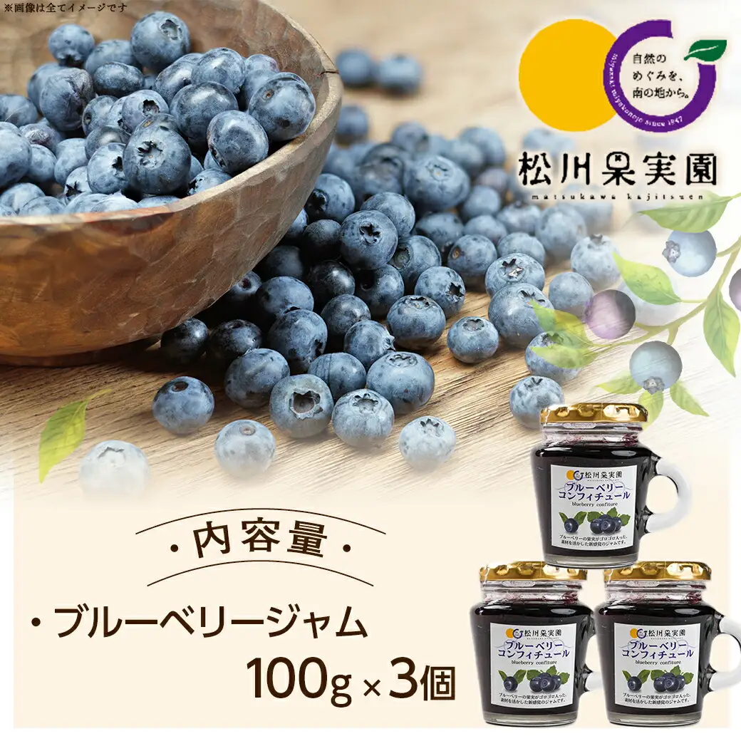 松川果実園のブルーベリージャムセット〔AA-J708〕_(都城市) ブルーベリー ジャム 無農薬栽培 果樹農家 松川果実園 3個