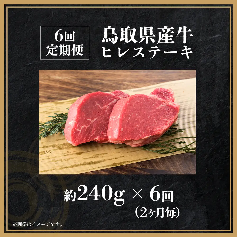 鳥取県産牛 ヒレステーキ 6回定期便 ＜奇数月＞ ヒレ ステーキ 定期便