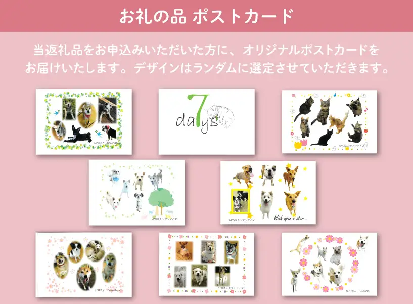 犬猫保護活動への支援 10万円 [NPO法人セブンデイズ 福岡県 筑紫野市 21761491]