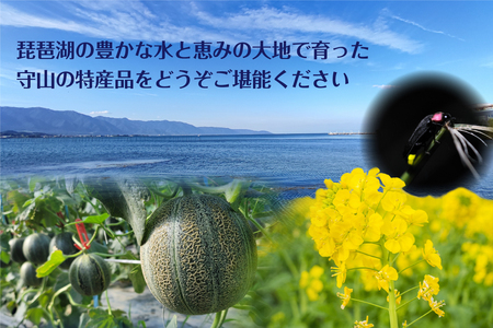【限定！！守山特産品コラボ】近江牛・守山産メロン・近江米が届く満足できる定期便 AJ-T005