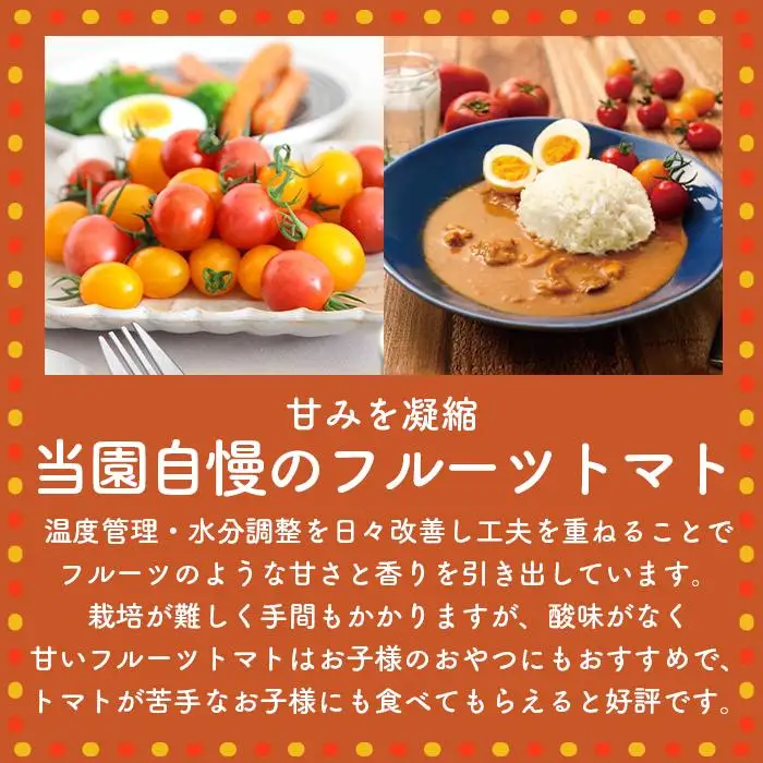 高糖度の完熟トマトを使用 510トマトビーフカレー（外箱無し・パウチ包装タイプ）4パック  訳あり 人にも環境にも優しい エコ こだわり レトルト カレー  シチュー おいしい 人気 リピート多数 非常食 保存食 長期保存 防災食 備蓄食 災害用品 災害用保存食 防災グッズ 防災用品