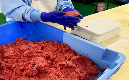 卸問屋のこだわり 手ごね 生ハンバーグ 100g×30個 計3kg デミグラスソース付き 合挽き
