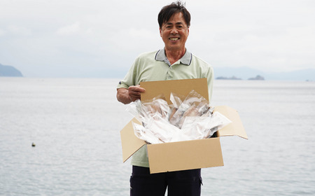 職人厳選 ウルメ丸干し小分け（4尾×12袋）鰯 いわし おつまみ 珍味 グルメ 魚 海鮮 ギフト 酒 ビール 日本酒 焼酎 贈り物 国産 愛媛 愛南町 武久海産