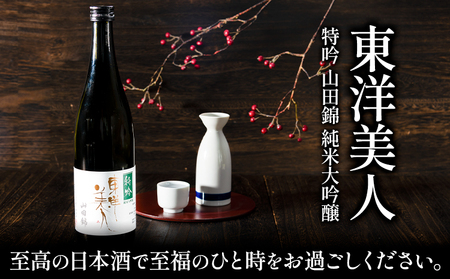 日本酒 東洋美人 特吟 山田錦 純米大吟醸 720ml 1本 福岡吟醸倶楽部株式会社《30日以内に出荷予定(土日祝除く)》福岡県 鞍手郡 鞍手町 酒 冷酒 送料無料