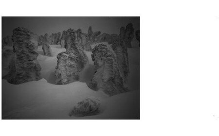 写真家 望月久 モノクロ写真集 「FOREST」～安比高原・八幡平～ ／ 写真 写真集 作品集 風景 自然 モノクロ写真 モノクロ プロ プロカメラマン カメラマン 作品 景色 雪 雪景色 風景写真 安比 安比高原 八幡平 プレゼント 贈り物