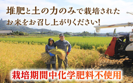 〈令和7年度産米〉ヒノヒカリ 白米 10kg （5kg×2袋）【竹下農園】[ZEL001]