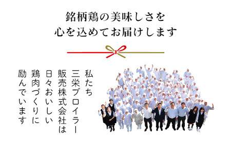 ＜京丹波あじわいどり＞＜鍋用セット＞京都府産 鶏もも肉＆手羽元＆鶏ミンチ 小分け (3種×各3袋・計2.43kg) ふるさと納税 福知山市 鶏肉 鳥肉 とり肉 もも肉 手羽元 鶏ミンチ 鍋 セット 真空パック 【fc-BK030】【三栄ブロイラー販売株式会社 福知山工場】