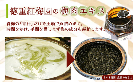 徳重おばあちゃんが受け継いだ梅肉エキス30g_AA-4901_(都城市) 鶯宿梅 おうしゅくばい 梅肉エキス(30g×1本) ミネラル成分たっぷり 栽培期間中農薬不使用の梅 梅エキス うめエキス 有限会社 徳重紅梅園