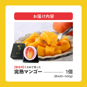 【2026年6月以降お届け】くるめで育った完熟マンゴー（1玉：約450～500g）_先行予約 贈答用 くるめで育った 完熟マンゴー 1個 約 450g~500g 甘い 子供も安心 高糖度 地植栽培 ビタミンA トロピカル フルーツ 果物 マンゴー 国産 クール便 先行受付 ギフト お取り寄せ 福岡県 久留米市 送料無料 〔Fm015〕
