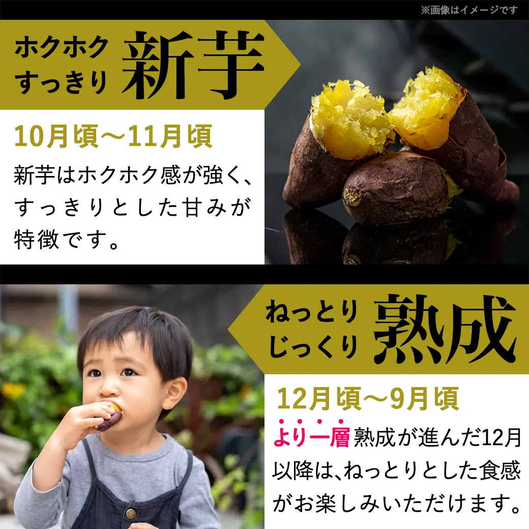 島津甘藷　熟成紅はるか 10kg(2L～M)_12-A701_(都城市) 島津甘藷 紅はるか 10kg サツマイモ 熟成 未選別 2L～M さつまいも 熟成 芋 定番 焼き芋 アウトドア