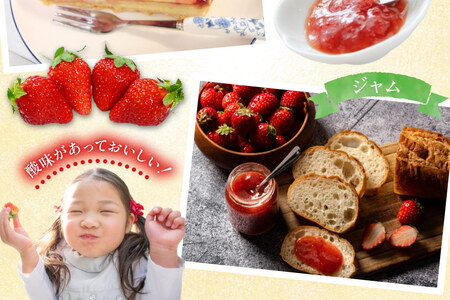 訳あり 冷凍 夏いちご すずあかね 約1kg [水山養殖場 宮城県 気仙沼市 20564004]