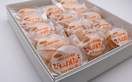 【中島屋菓子店】びわぱんじゅう 14個入り [0010-0312]