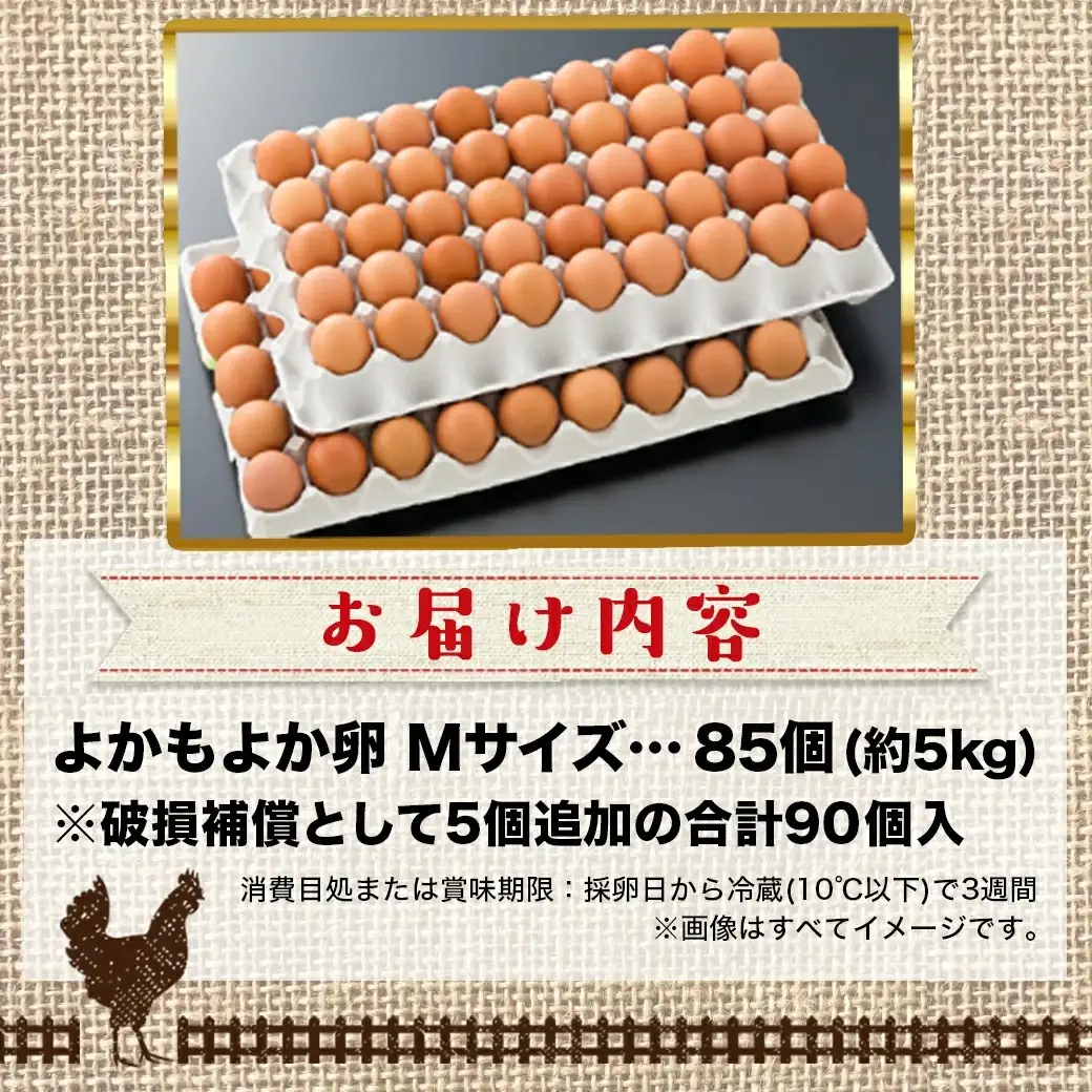 よかもよか卵85個 約5kg〔17-29-010-85〕_(都城市) 河中農園 味が濃くてまろやかなタマゴ 濃い黄身 たまご 玉子 破損補償 お菓子