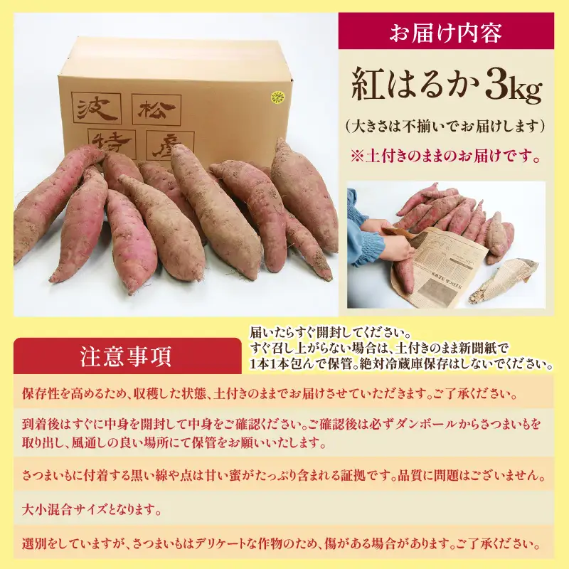 【先行予約】あわら市波松産 紅はるか 3kg / 厳選 不揃い さつまいも 土付き 熟成 焼き芋 福井県 薩摩芋 密芋 スイートポテト しっとり ほっくり 自然のスイーツ 極甘 農研機構許諾済 メディアで人気 腸活 ※2026年10月上旬以降順次発送予定 [aw084-a001]