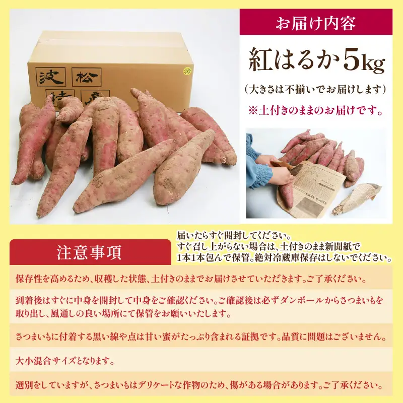【先行予約】あわら市波松産 紅はるか 5kg / 厳選 不揃い さつまいも 土付き 熟成 焼き芋 福井県 薩摩芋 密芋 スイートポテト しっとり ほっくり 自然のスイーツ 極甘 農研機構許諾済 メディアで人気 腸活 ※2026年10月上旬以降順次発送予定 [aw084-a002]