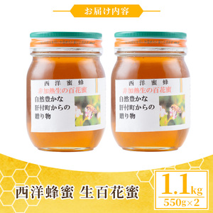 【A51003】国産西洋蜂蜜 生百花蜜(1.1kg・550g×2) 国産 鹿児島県産 蜂蜜 はちみつ ハチミツ ギフト プレゼント 贈答 家庭用 【芳治養蜂】