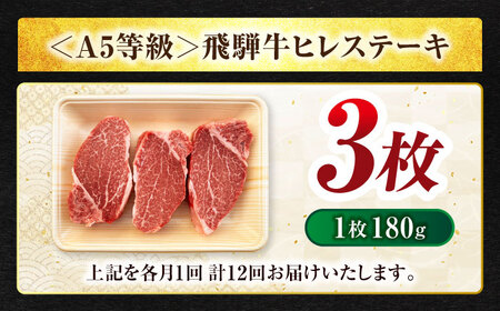 【12回定期便】飛騨牛ヒレステーキ180g×3枚 計540g 総計6.48kg【マルゴー】 飛騨牛 黒毛和牛 A5[MBE045]