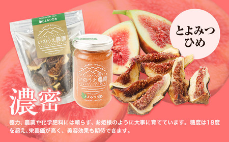 コンフィチュール＆セミドライフルーツ とよみつひめ いのうえ農園 株式会社アジア開発貿易《30日以内に出荷予定(土日祝除く)》福岡県   ドライフルーツ いちじく イチジク 無花果 フルーツ くだもの 果物 ジャム