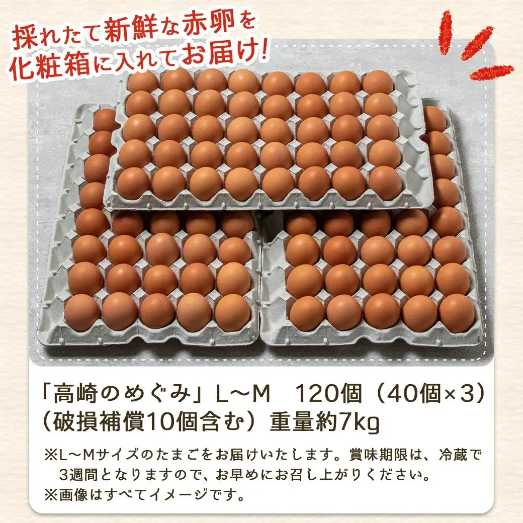 アスタキサンチン入り赤卵「高崎のめぐみ」120個_MJ-6802_(都城市) 赤卵 L玉～M玉 120個 重量約7kg アスタキサンチン入り 新鮮たまご 玉子焼き 化粧箱入り