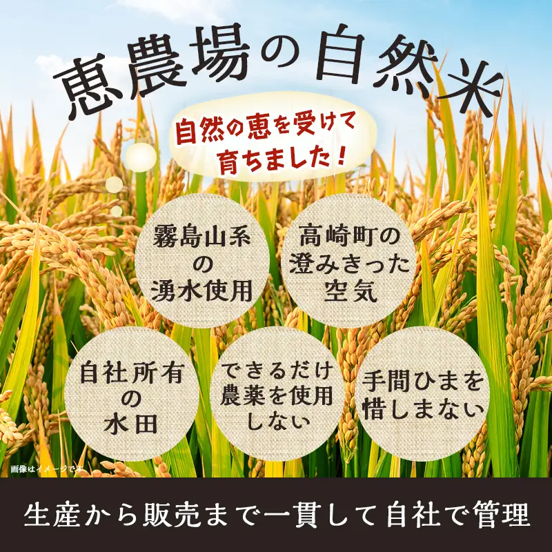 都城市高崎町産ひのひかり「自然米」10kg_29-6801_(都城市) 5kg×2袋 高崎町 ヒノヒカリ 白米 お米10kg おこめ 産地直送 精米