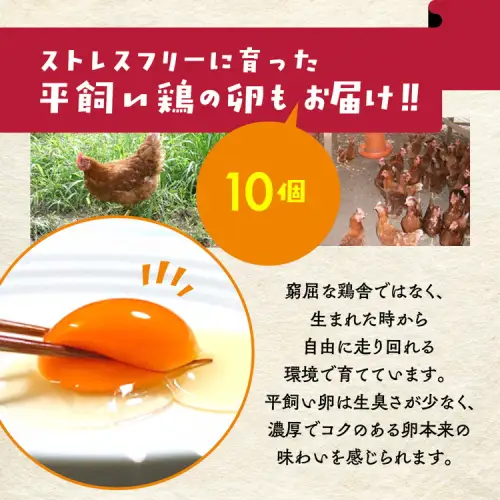 【4回定期便】＜アスカ有機農園＞旬の京野菜セットＬ 野菜