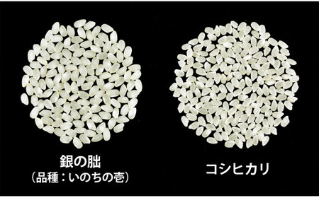 ＜テレビで紹介されました！＞令和7年度　皇室献上米『銀の朏』2kg 中津川市加子母産 栽培期間中化学肥料不使用 お米 精米 F4N-1862