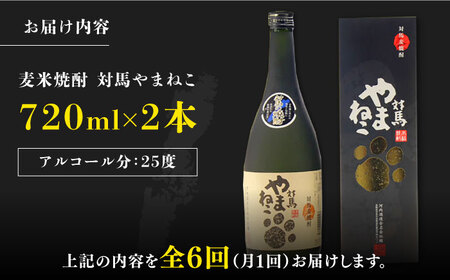 【全6回定期便】麦米焼酎 対馬やまねこ 25度 720ml 2本セット対馬 酒 贈り物 米焼酎 焼酎  [WAX023]