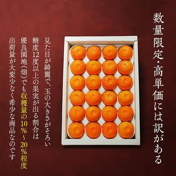 めっちゃ甘いんじゃみかん 糖度12度以上 2kg（内容量1.8kg）特選品 M・S・2Sサイズのいずれか 和歌山県産 S品 贈答用［2026年11月中旬より順次出荷予定］［みかんの会］
