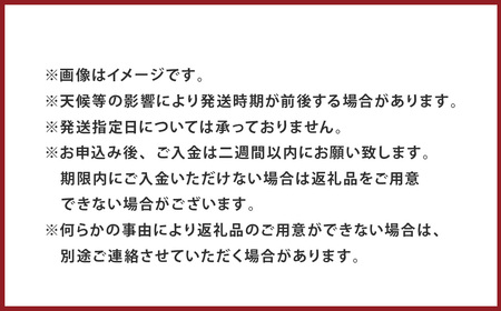 小玉西瓜 2玉入 1玉あたり1.5kg以上 すいか スイカ【2026年4月下旬～7月上旬迄順次発送予定】