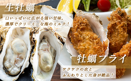 仙鳳趾名産 牡蠣 150～199g×13個+かきナイフ付K4-3_仙鳳趾 センポウシ せんぽうし 牡蠣 カキ 生食用 殻付き 牡蠣 絶品 産地直送 北海道 釧路町 釧路超 特産品 _【配送不可地域：離島・沖縄県・信越、北陸・東海・近畿・中国・四国・九州】【1294853】