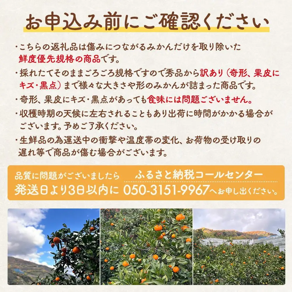 有田みかん 訳あり みかん 約4.4kg 和歌山県産