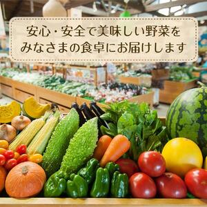 あぐりん村の新鮮野菜宅配BOX 常温配送期間［ 新鮮野菜 宅配BOX 詰め合わせ クール便 季節野菜 健康 ヘルシー 人気 おすすめ ギフト プレゼント お取り寄せ 通販 送料無料 ふるさと納税 ］