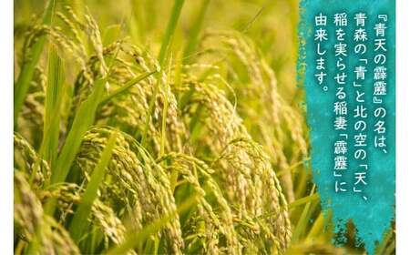 青天の霹靂 (特別栽培米) 白米10kg 令和7年産 青森県産米 [お申込み後に精米] [お申込み後に精米] [0899]