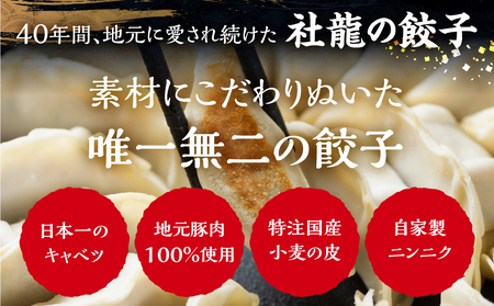 【定期便】スタミナセット定期便  全3回 (うなぎ / 豚肉 / 餃子) 