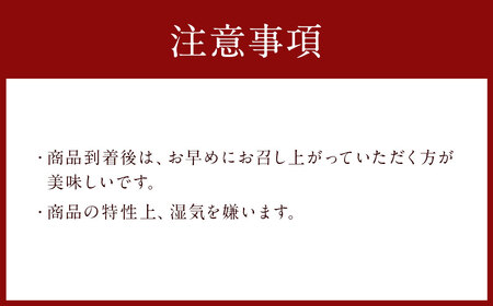 A217 有明海産 焼のり卓上タイプ（8切48枚）と焼のり（4切120枚）のり 海苔 塩海苔 卓上