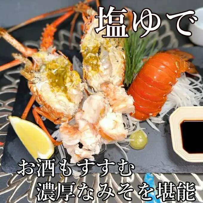 【 予約受付 令和8年9月16日以降発送 】活伊勢海老 (軍手付き) 2～7尾 約2kg【イセエビ 伊勢海老】