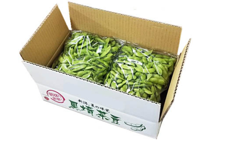 くろさき茶豆1.2kg 2026年 先行予約 枝豆 野菜 つまみ おつまみ えだまめ エダマメ 新潟 
