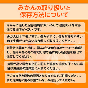 【先行予約】【ご家庭用】和歌山有田みかん約5kg(2L、3Lサイズ)【美浜町】