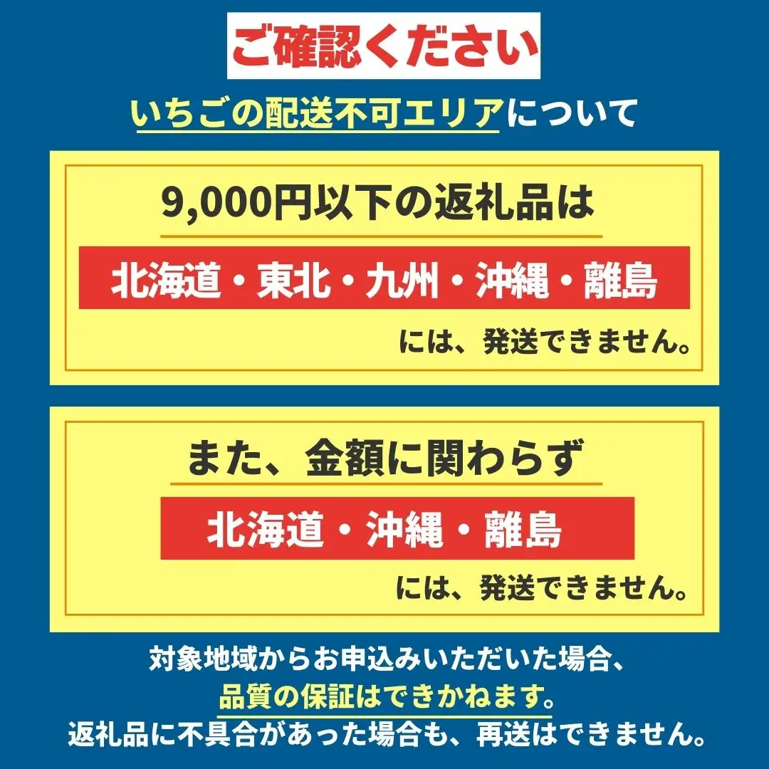 【2027年 先行予約】1月発送分 朝採れいちご とちあいか 約1,000g