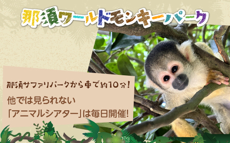 那須サファリパークペア入園券 2名 モンキーパーク割引チケット付き！動物 動物園チケット どうぶつえん チケット 券 入場券 入園券 エサやり ライオンバス付き 観光 ファミリー 家族 栃木県 那須町〔C-63〕