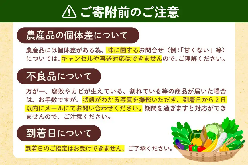BH093 【期間限定発送】長崎県産 ハウスびわ 約500g 化粧箱入り [長崎県 島原市]