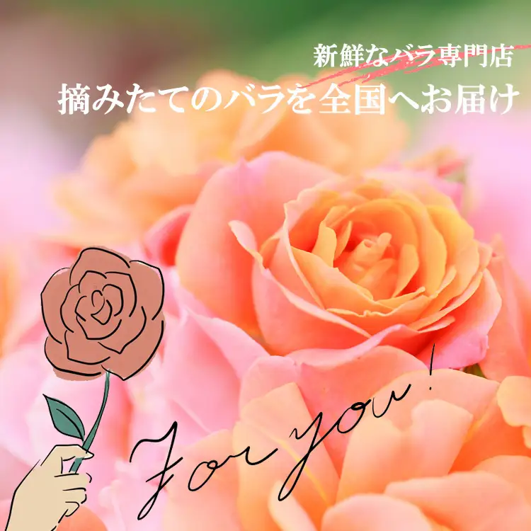 バラ の 花束 （ 8本 ） | バラ 花束 奈良県 平群町 